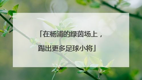 在杨浦的绿茵场上，踢出更多足球小将