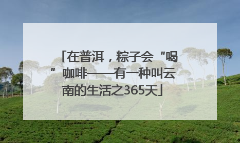 在普洱，粽子会“喝”咖啡——有一种叫云南的生活之365天