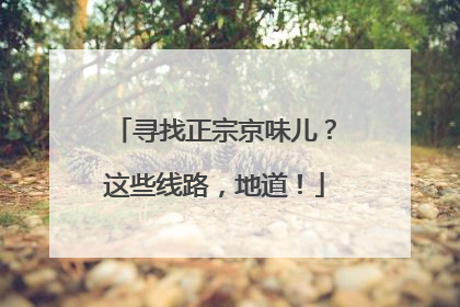 寻找正宗京味儿？这些线路，地道！