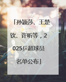 孙颖莎、王楚钦、许昕等，2025乒超球员名单公布