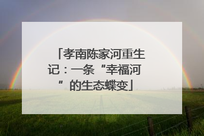 孝南陈家河重生记：一条“幸福河”的生态蝶变