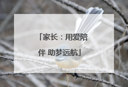 家长：用爱陪伴 助梦远航