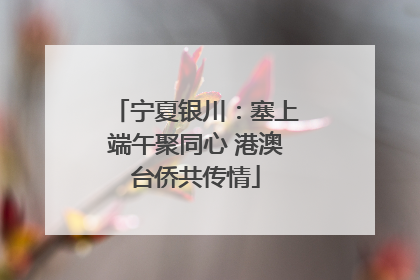宁夏银川：塞上端午聚同心 港澳台侨共传情