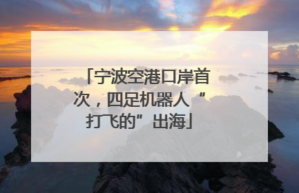 宁波空港口岸首次，四足机器人“打飞的”出海