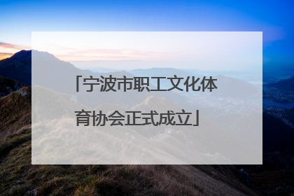 宁波市职工文化体育协会正式成立