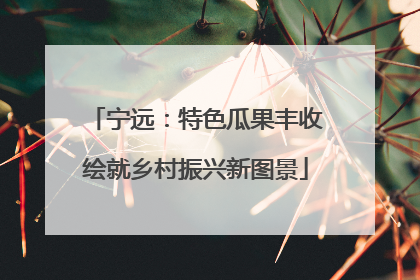 宁远：特色瓜果丰收绘就乡村振兴新图景