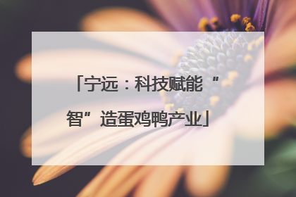 宁远：科技赋能“智”造蛋鸡鸭产业
