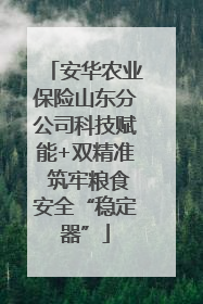 安华农业保险山东分公司科技赋能+双精准 筑牢粮食安全“稳定器”