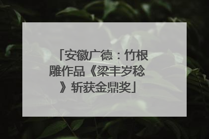 安徽广德：竹根雕作品《梁丰岁稔》斩获金鼎奖