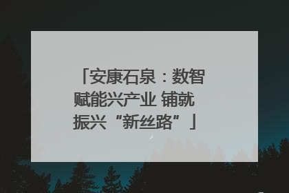 安康石泉：数智赋能兴产业 铺就振兴“新丝路”