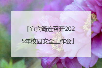 宜宾筠连召开2025年校园安全工作会