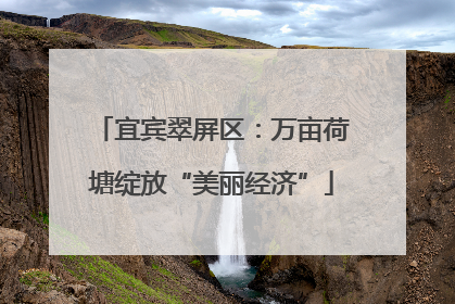 宜宾翠屏区：万亩荷塘绽放“美丽经济”