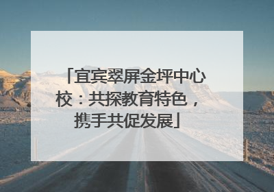 宜宾翠屏金坪中心校：共探教育特色，携手共促发展