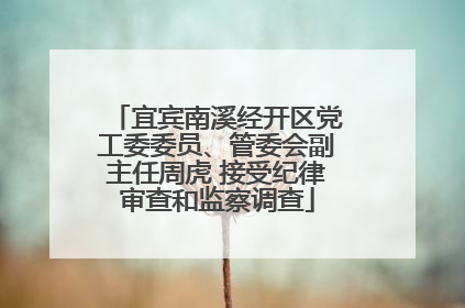 宜宾南溪经开区党工委委员、管委会副主任周虎 接受纪律审查和监察调查
