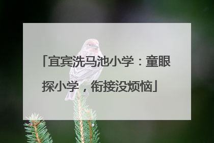 宜宾洗马池小学：童眼探小学，衔接没烦恼