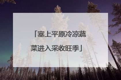 塞上平原冷凉蔬菜进入采收旺季