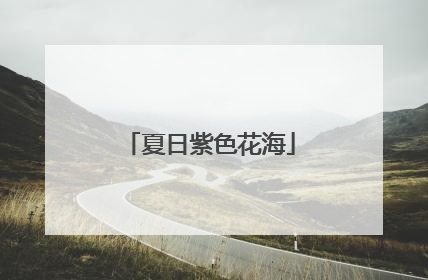 夏日紫色花海