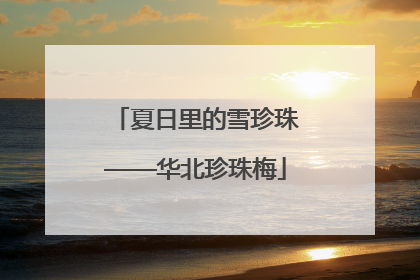 夏日里的雪珍珠——华北珍珠梅
