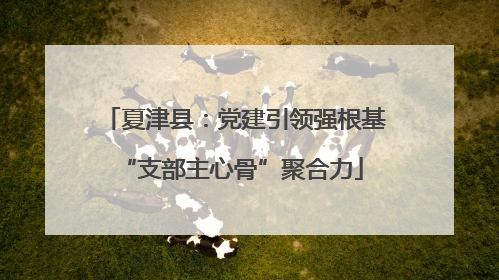 夏津县：党建引领强根基 “支部主心骨”聚合力