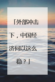 外部冲击下，中国经济何以这么稳？