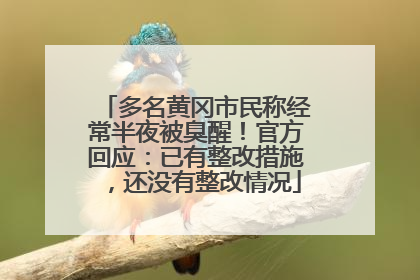 多名黄冈市民称经常半夜被臭醒！官方回应：已有整改措施，还没有整改情况