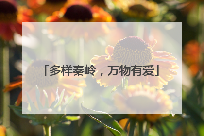 多样秦岭，万物有爱