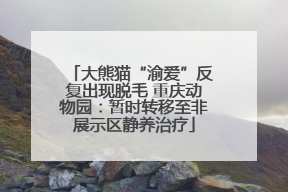 大熊猫“渝爱”反复出现脱毛 重庆动物园：暂时转移至非展示区静养治疗