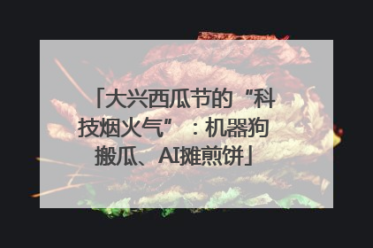 大兴西瓜节的“科技烟火气”：机器狗搬瓜、AI摊煎饼