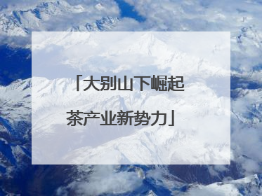 大别山下崛起茶产业新势力