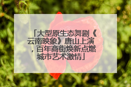 大型原生态舞剧《云南映象》唐山上演，百年商街焕新点燃城市艺术激情