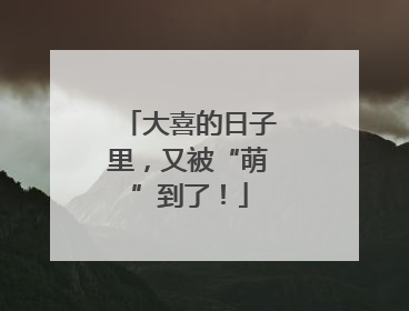 大喜的日子里，又被“萌”到了！