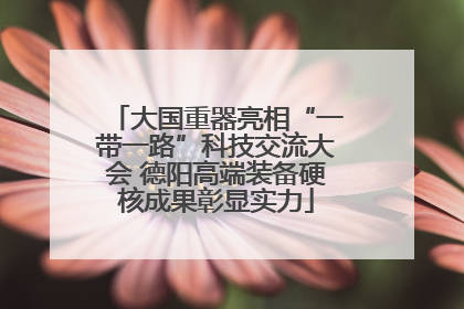 大国重器亮相“一带一路”科技交流大会 德阳高端装备硬核成果彰显实力