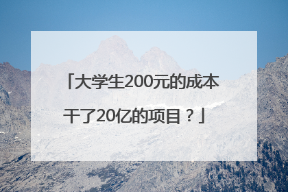 大学生200元的成本干了20亿的项目？