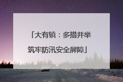 大有镇：多措并举筑牢防汛安全屏障