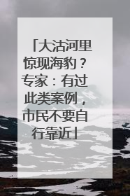 大沽河里惊现海豹？专家：有过此类案例，市民不要自行靠近