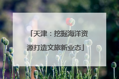 天津：挖掘海洋资源打造文旅新业态