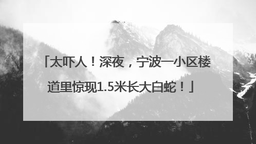 太吓人！深夜，宁波一小区楼道里惊现1.5米长大白蛇！