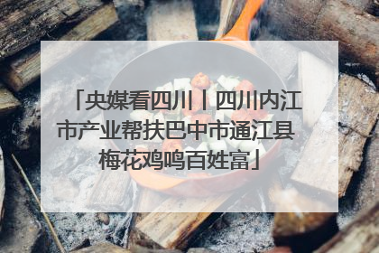 央媒看四川丨四川内江市产业帮扶巴中市通江县 梅花鸡鸣百姓富