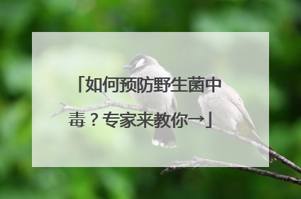 如何预防野生菌中毒？专家来教你→