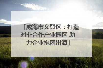 威海市文登区：打造对非合作产业园区 助力企业抱团出海