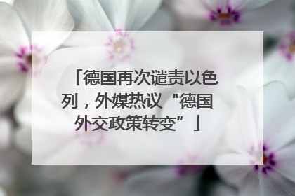 德国再次谴责以色列，外媒热议“德国外交政策转变”