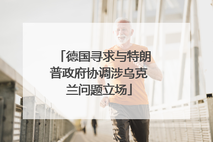 德国寻求与特朗普政府协调涉乌克兰问题立场