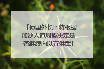 德国外长：将根据加沙人道局势决定是否继续向以方供武