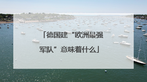 德国建“欧洲最强军队”意味着什么
