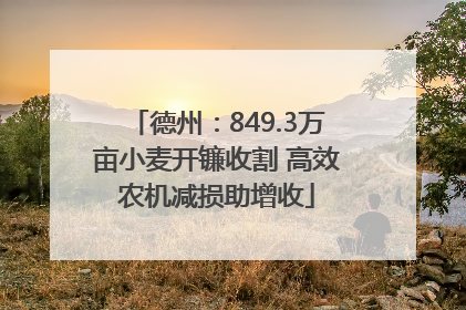 德州：849.3万亩小麦开镰收割 高效农机减损助增收