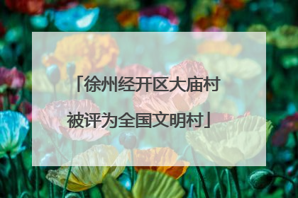 徐州经开区大庙村被评为全国文明村