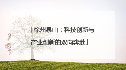 徐州泉山：科技创新与产业创新的双向奔赴