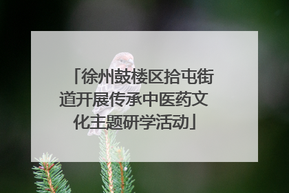 徐州鼓楼区拾屯街道开展传承中医药文化主题研学活动