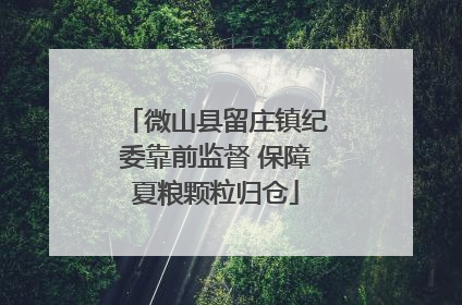 微山县留庄镇纪委靠前监督 保障夏粮颗粒归仓