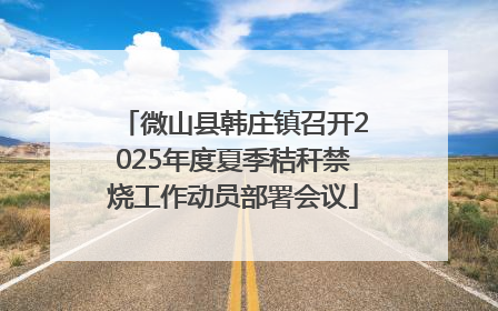 微山县韩庄镇召开2025年度夏季秸秆禁烧工作动员部署会议
